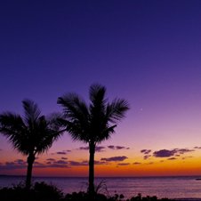 石垣島夜釣りチャーター